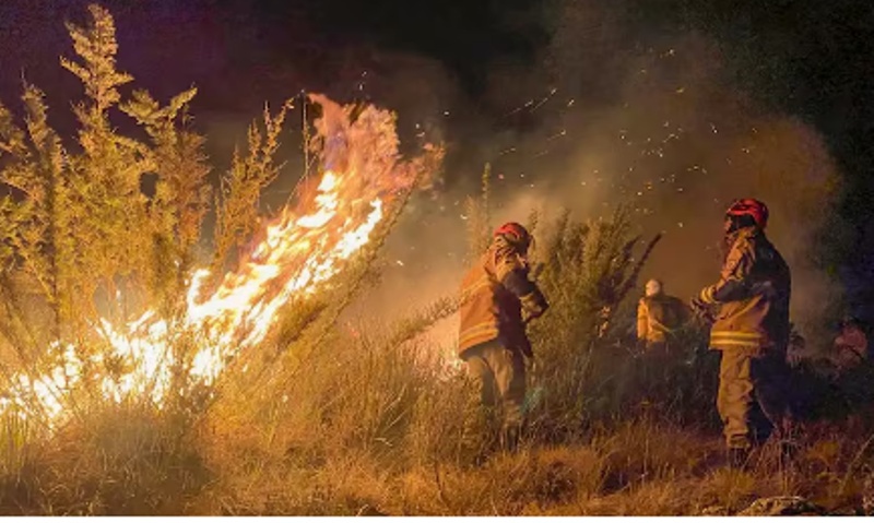 Incêndios florestais causaram prejuízo de R$ 14,7 bilhões na agricultura, estima CNA