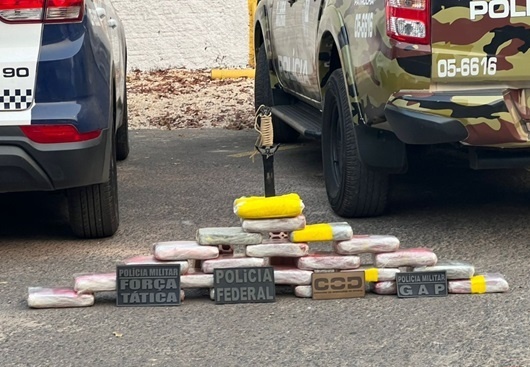 Ação integrada apreende 27 quilos de drogas avaliada em R$ 600 mil