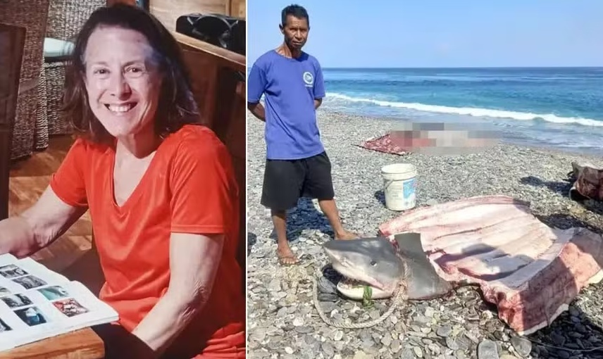 Turista é morta por tubarão na Indonésia; restos mortais são achados dentro de predador fisgado por pescador