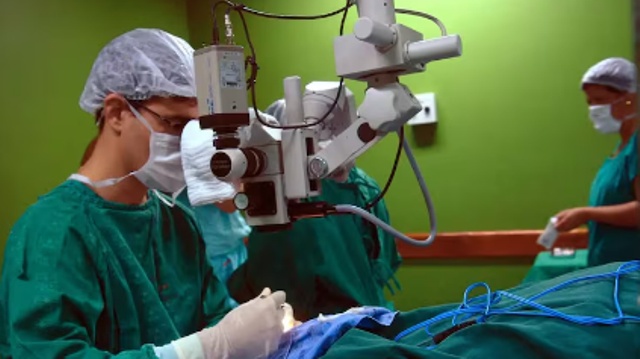 Seis pacientes testam positivo para o vírus HIV após passarem por transplante no RJ