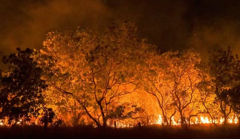 Mundo caminha para aquecimento de 2,7°C neste século; perigo é sem precedentes