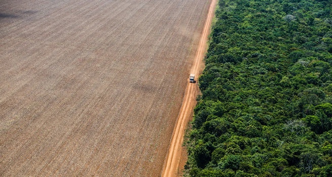 MT quer reduzir de 80% para 35% áreas de reserva legal