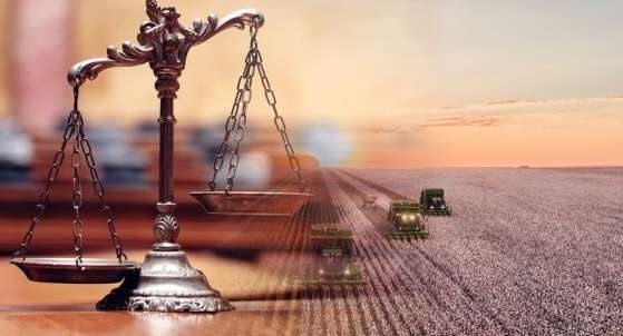 Número de pedidos de recuperação judicial no agro cresce mais de 500%