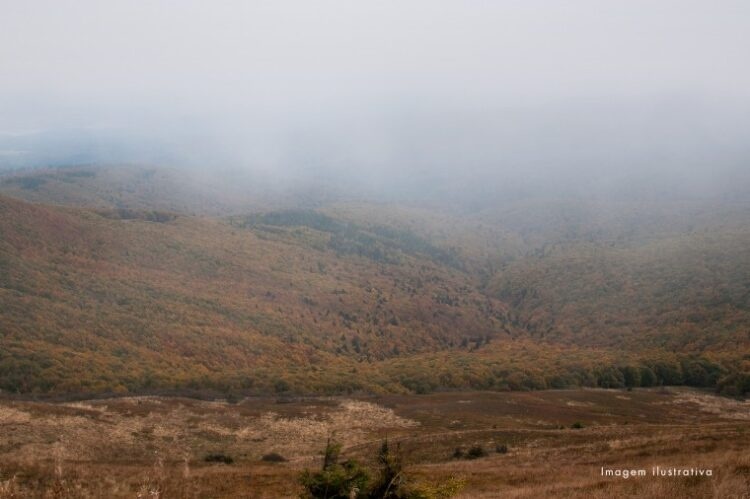 Fazendeiro terá que pagar R$ 625 mil e recuperar área de reserva ambiental em MT