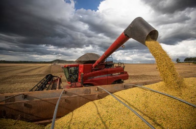 Entenda por que a vitória de Trump pode ser boa para o agro brasileiro