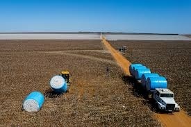 PIB de Mato Grosso registra o maior crescimento do país e chega a R$ 255 bilhões