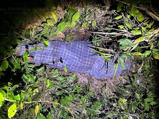 Corpo de mulher enrolado em lençol é desovado em matagal perto de estrada