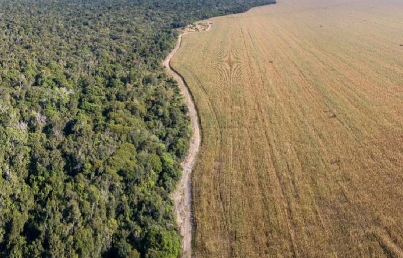 PL de retirada do Mato Grosso da Amazônia Legal provocaria danos irreparáveis, diz relator
