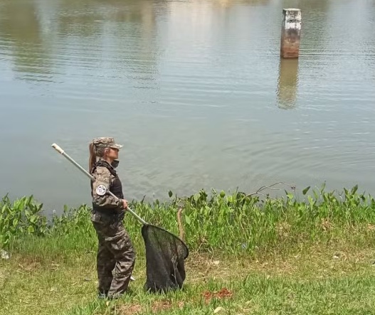 Jacaré é solto por argentino em lago para banhistas na fronteira com o Brasil, diz polícia