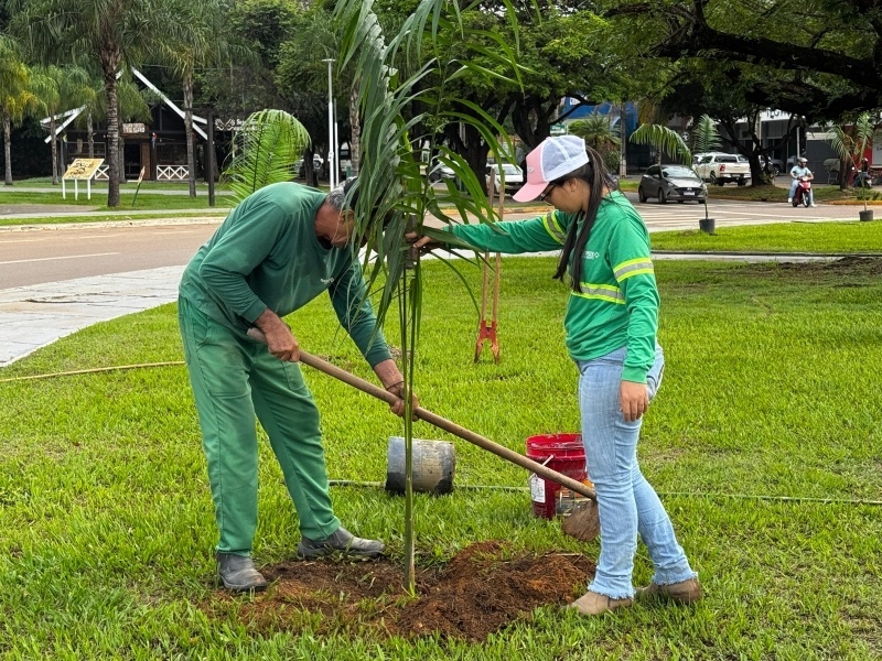 Secretaria de Meio Ambiente realiza neste sábado(30), plantio de mudas na avenida André Maggi