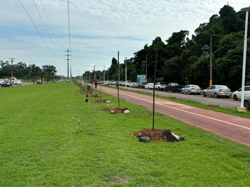 Parcerios e voluntários plantam mais de 400 mudas de árvores nativas na Av. André Maggi