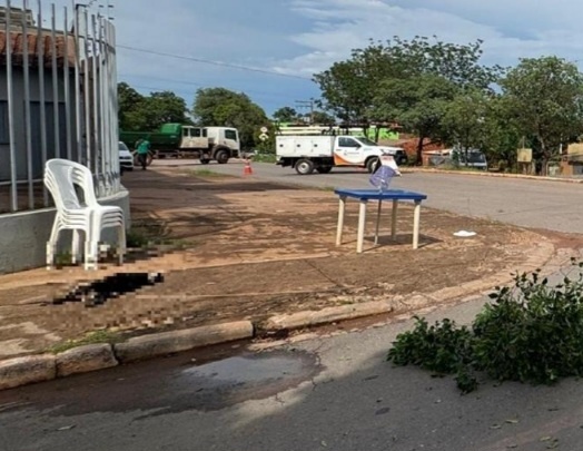 Cachorro morre eletrocutado ao encostar em fio de luz caído em calçada