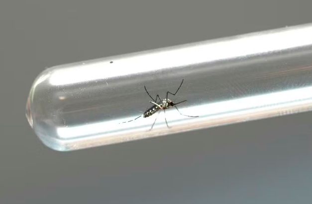 Instituto Butantan pede à Anvisa registro da sua vacina contra a dengue, 1ª do mundo em dose única