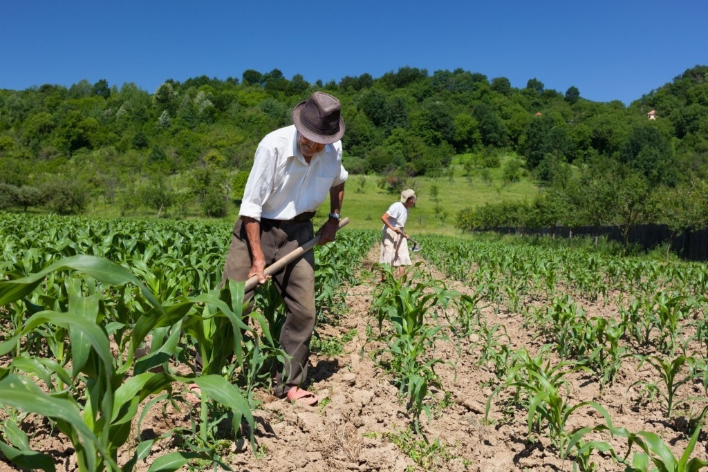 Governo anuncia pacote de renegociação de dívidas e apoio a agricultores