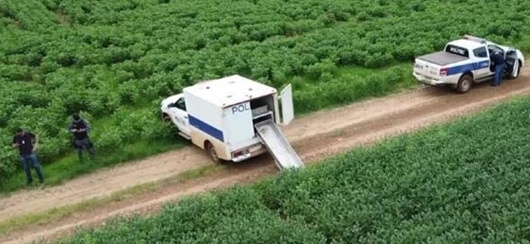 Sinop: Corpo em avançado estado de decomposição é encontrado em plantação de soja