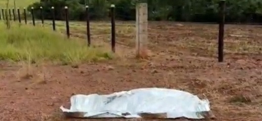 Empresário morre atropelado pelo próprio caminhão durante conserto