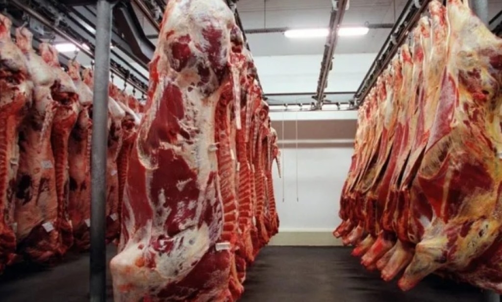 Brasil exportou 3,2 milhões de toneladas de carne bovina, gerando R$ R$ 80,12 bilhoes