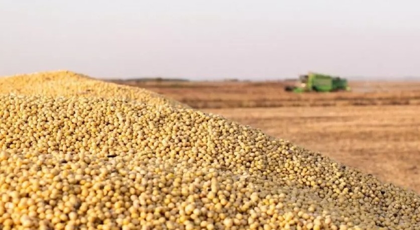 Impulsionado pelo agro, PIB de MT deve registrar 2ª maior alta do país em 2025