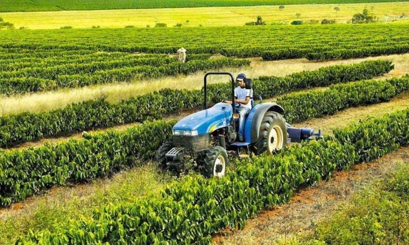 Agronegócio brasileiro mantém exportações em alta