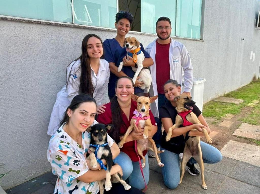 Projeto do Hospital Regional de Sinop leva cães para ajudar no tratamento de crianças internadas