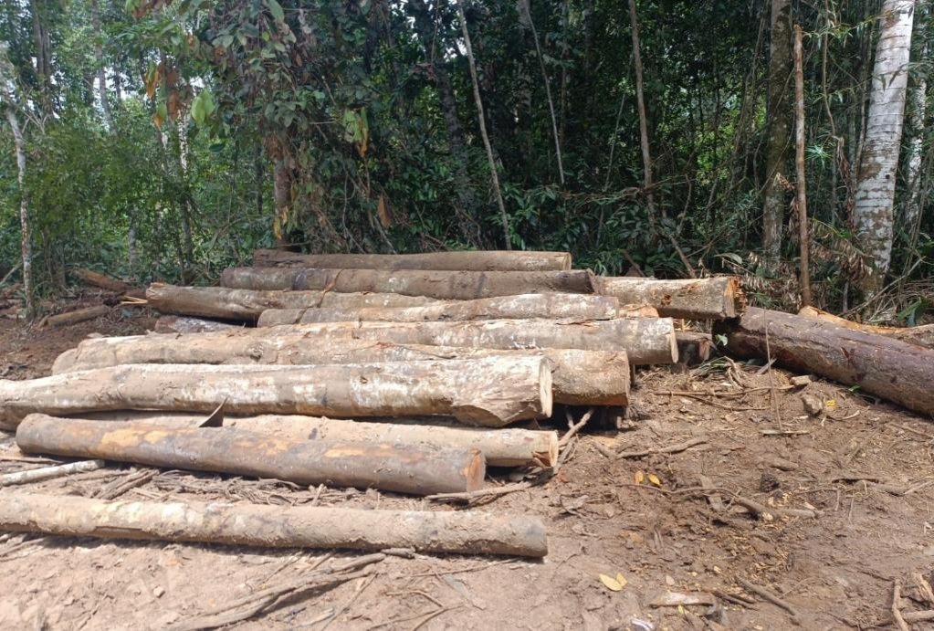 Batalhão Ambiental detém dupla e apreende máquina e toras de madeiras extraídas ilegalmente