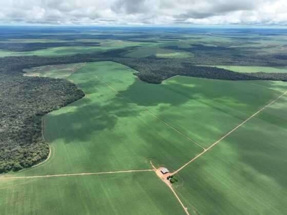 Entidades do agro de MT apoiam veto de Mauro a PL que reclassifica áreas da Amazonas e Cerrado