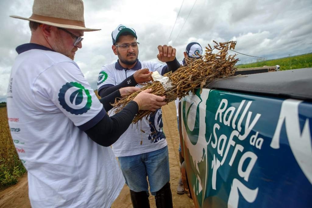 Rally da Safra retorna ao Mato Grosso para avaliar lavouras médias e tardias