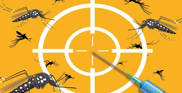 Um ano após início da imunização contra dengue, procura por vacina é baixa
