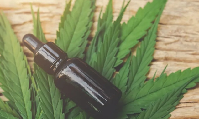 STJ mantém prazo para publicação de regras do uso de cannabis medicinal