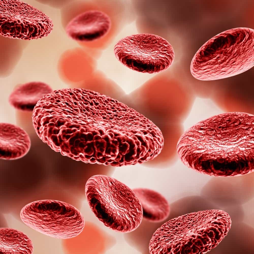 Leucemia pode ser confundida com dengue hemorrágica e atrasar tratamento