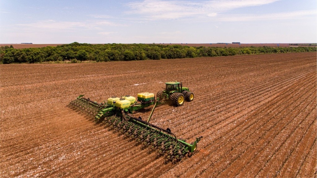 Conab projeta um aumento de 2,4% na área plantada com milho safrinha