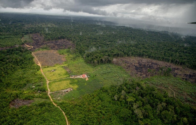 Ano de 2025 começa com aumento de 68% no desmatamento da Amazônia