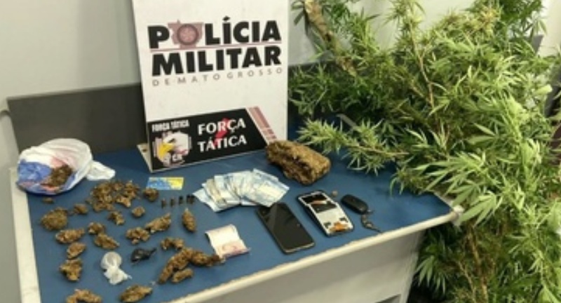 Homem é preso pela Força Tática com porções e pés de maconha em Sinop