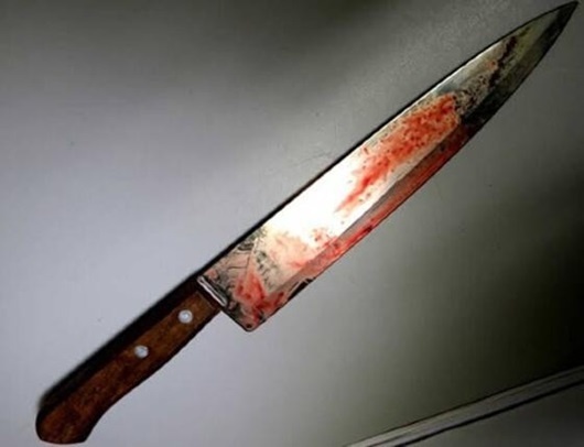 Homem fica ferido após levar 11 facadas em briga