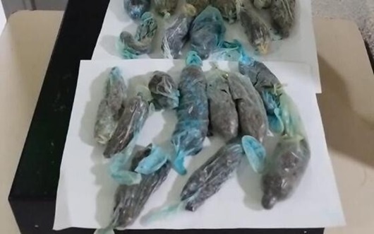 Polícia Penal impede visitante de levar drogas em tubos de creme dental para presídio