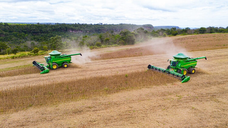 Colheita avança em todo o Brasil e já supera média histórica