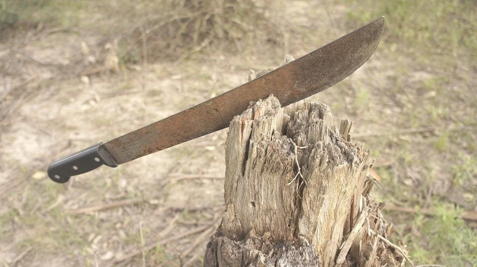 Homem é visto agredindo cães e acaba morto com golpes de facão em fazenda de MG