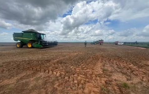 Máquinas agrícolas e mais de 72 mil kg de soja são apreendidos em operação contra desmatamento ilegal em MT