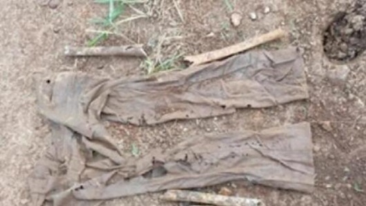 Ossada humana é encontrada em fazenda no interior de MT