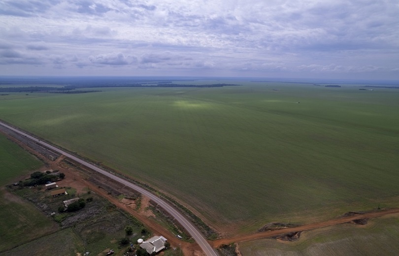 Comercialização de soja segue lenta no Brasil; veja como ficou o mercado