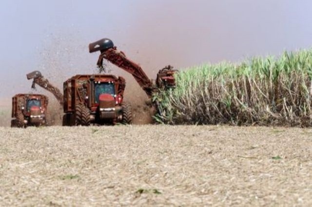 Brasil tenta ampliar cota de exportação de açúcar aos EUA em tratativa sobre tarifa do etanol