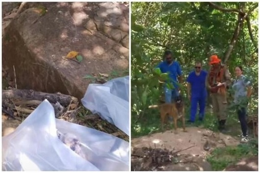 Crânio e braço humanos são encontrados em região de mata
