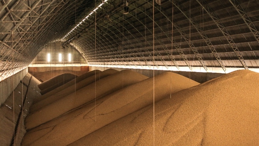 Esmagamento de soja cresce 26,65% em Mato Grosso