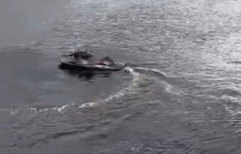 Jovem cai de jet ski e desaparece em rio de MT; Bombeiros fazem buscas