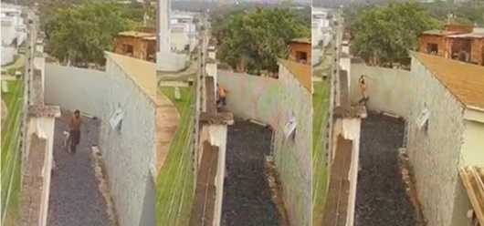 Flagrado agredindo pitbull de 7 meses, pintor vira réu por maus-tratos e deve pagar R$ 100 mil