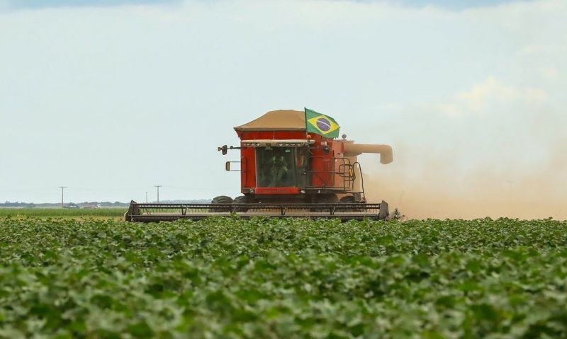 Crime organizado e internet impulsionam venda e uso de agrotóxicos ilegais no Brasil