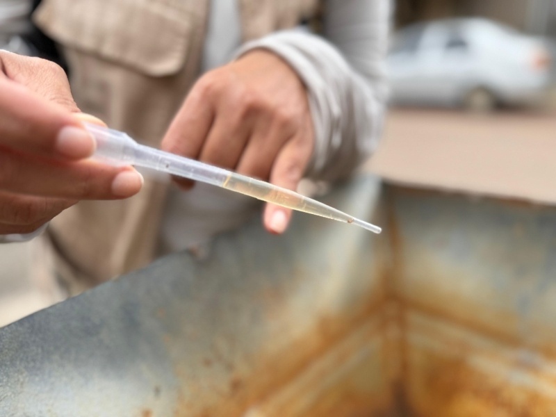 Sinop confirma três óbitos por chikungunya