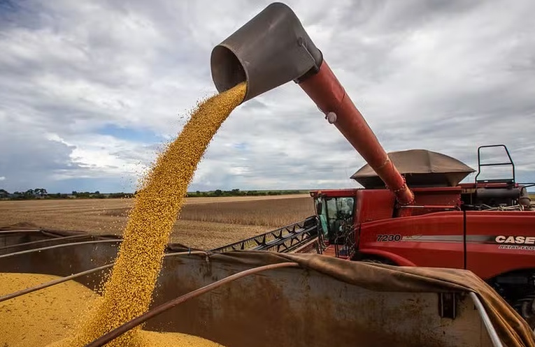 Produtividade da soja cresce e estimativas para a colheita da safra 2024/25 aumentam