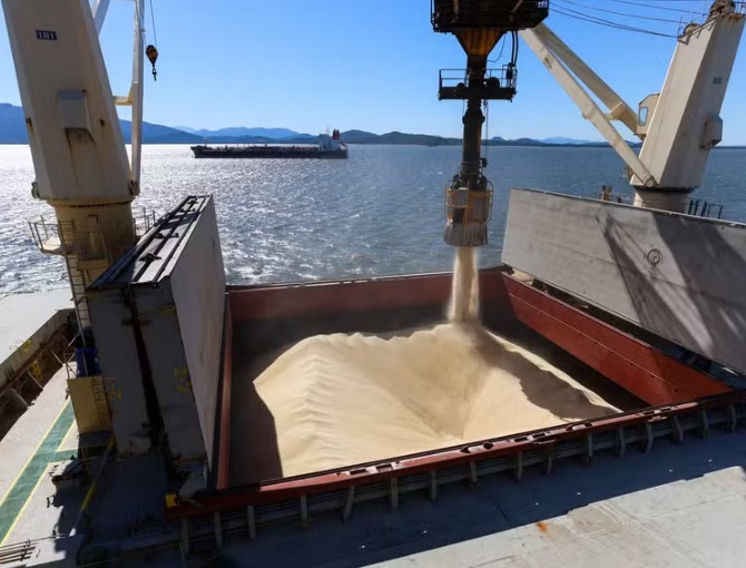 Exportações agropecuárias subiram 16% em março