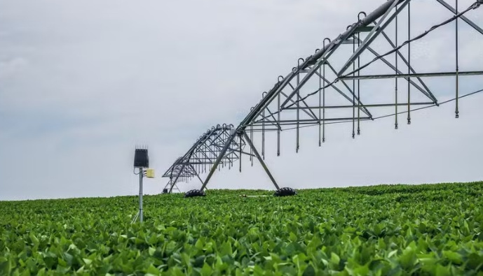Agro brasileiro só tem a ganhar se ficar fora da guerra comercial, diz professor